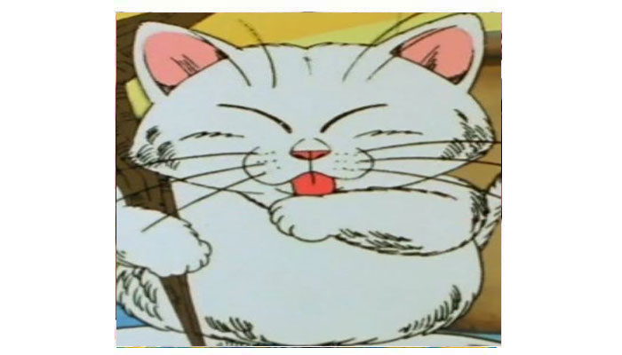 Cat Anime series That Will Make You Feline Groovy (Korin)